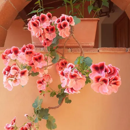 Tenuta Mariani ماساروسا