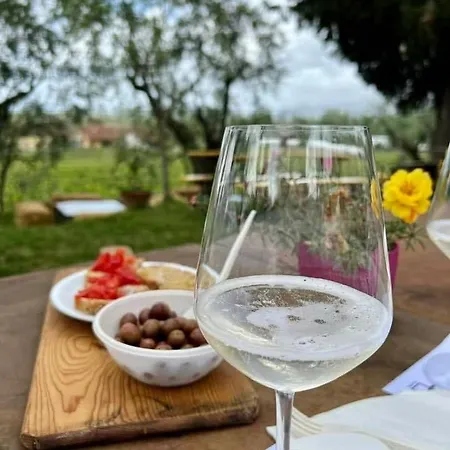 Apartment Tenuta Mariani Massarosa