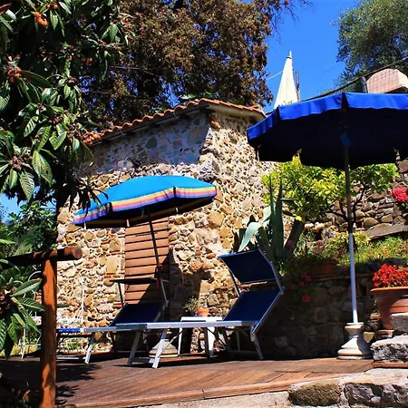 Tenuta Mariani 马萨罗萨