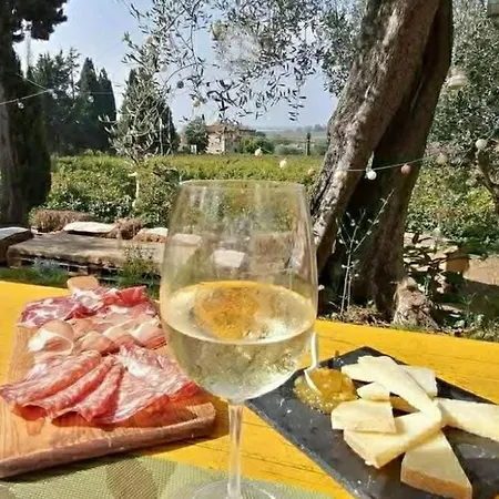 Tenuta Mariani * Massarosa