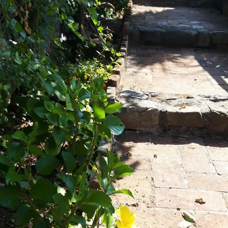 Tenuta Mariani Massarosa