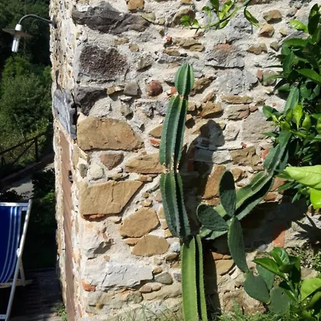 Apartamento Tenuta Mariani *